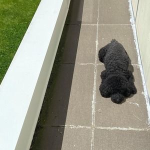 Meet your Posher, Edward